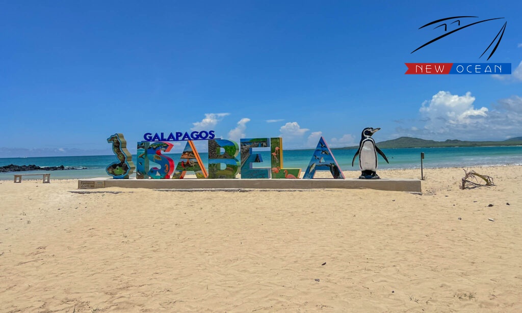 Qué hacer o ver en la Isla Isabela, Galápagos 1 Que hacer o ver en la Isla Isabela Galapagos